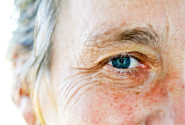 Beautiful mature woman close up